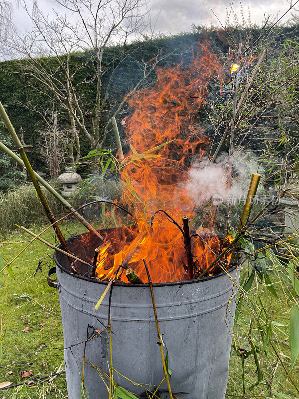 草坪上燃烧的花园垃圾焚化炉，冒烟的竹叶和藤条，花园垃圾的处理