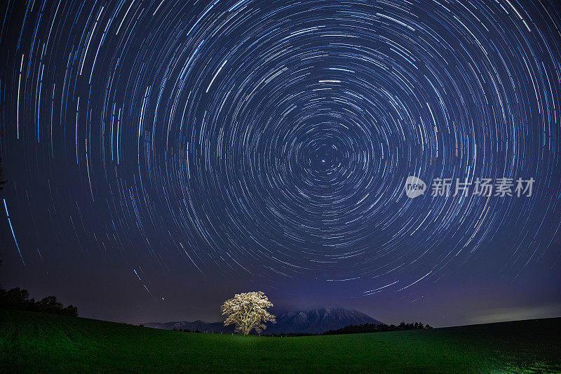 一棵孤独的樱花树在田野后面的山和星星的踪迹