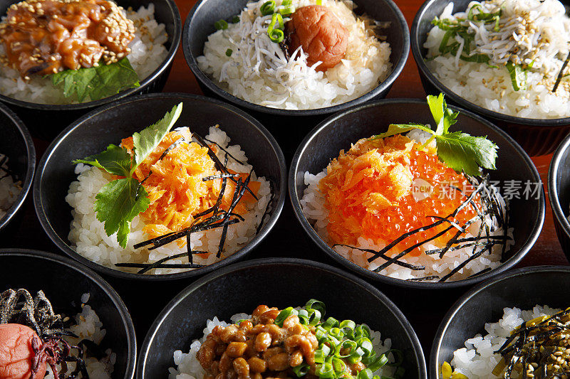 日本家庭烹饪，Ochazuke食谱