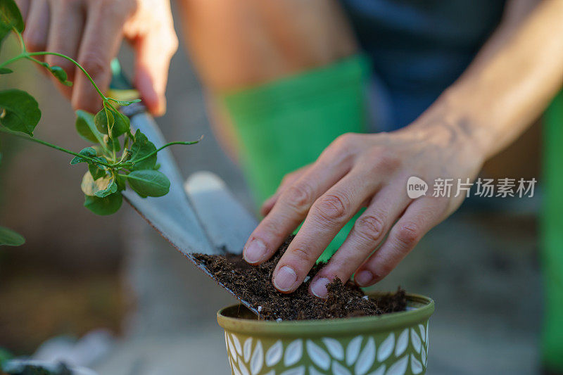 靠近人类的手，种植