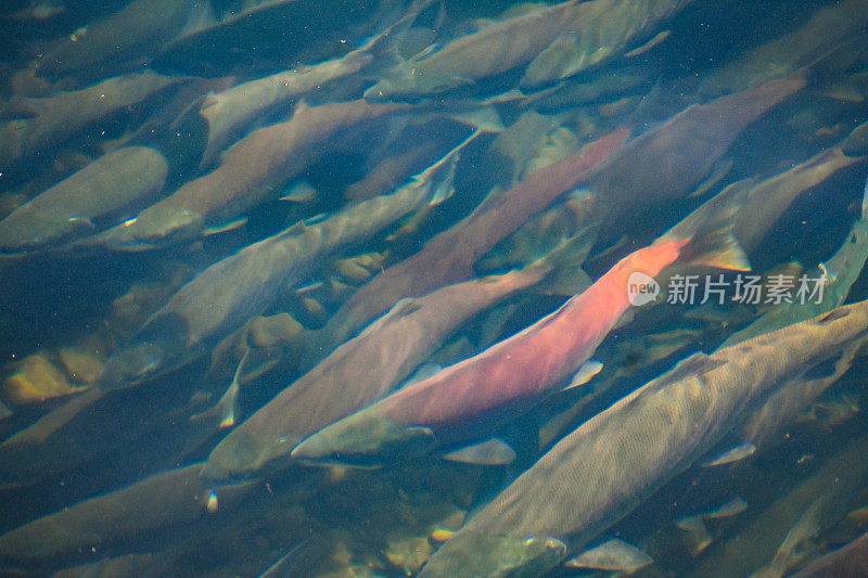 随波逐流