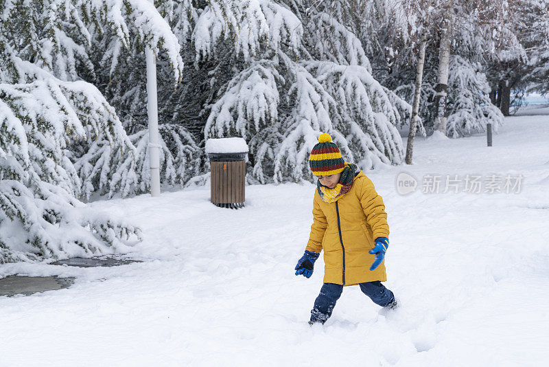 男孩在雪地里玩得很开心