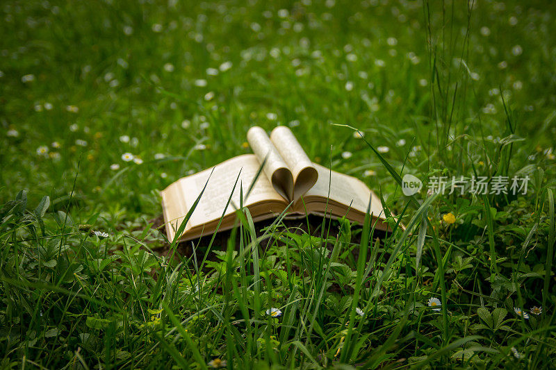 在草地上用纸书画出心形