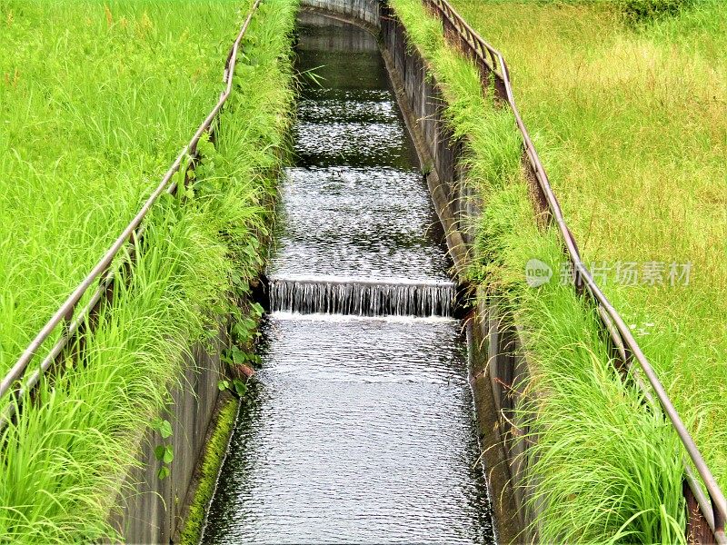 日本。6月。稻田里的灌溉渠。