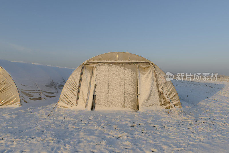 农业。隧道温室在寒冷的冬天在白雪覆盖的田野上。