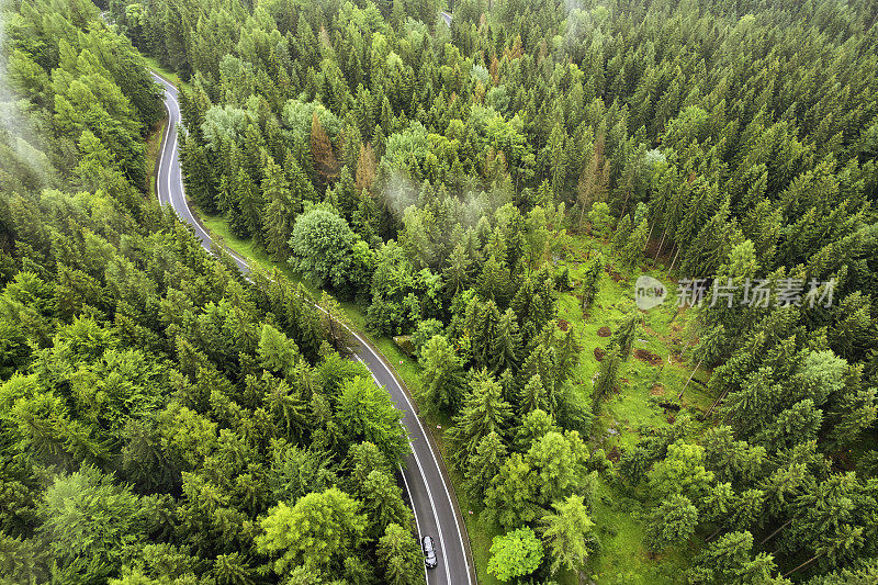 鸟瞰绿色森林中的山路