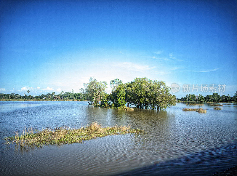 有一些树木的水体，下沉的洪水、洪泛平原和被淹没的沼泽。
