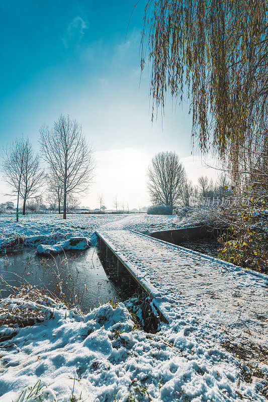 一个寒冷的早晨，本季的第一层雪