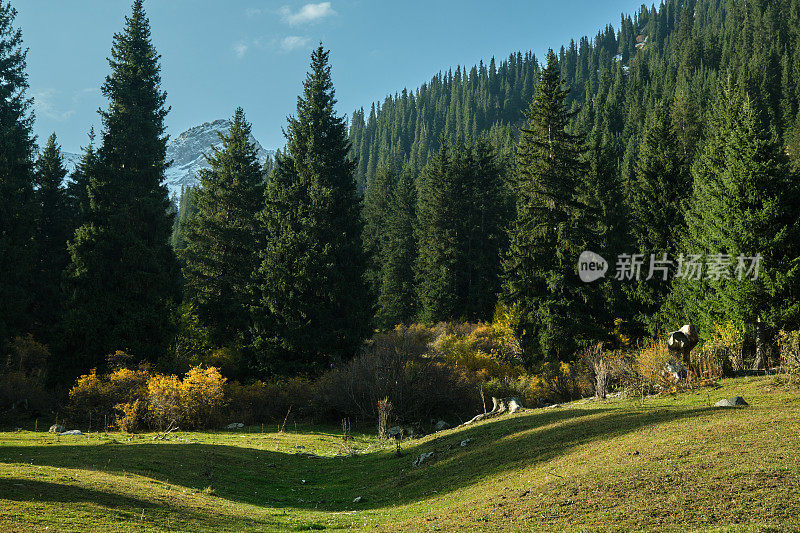 秋天的早晨，阳光照耀的山林