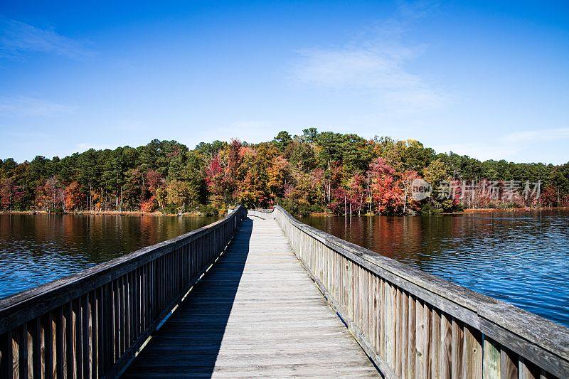 桥:秋天横跨在水体上的桥