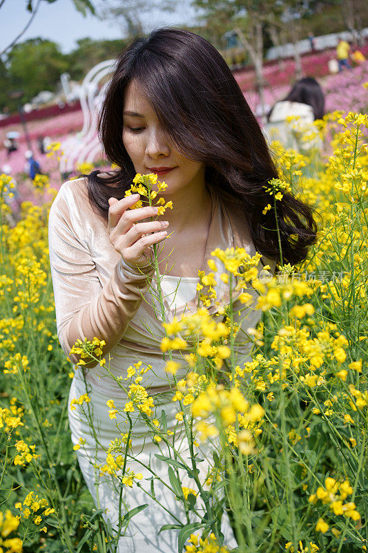 女游客闻着油菜花