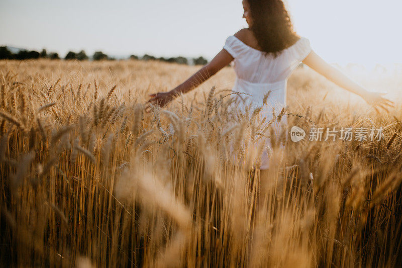 年轻漂亮的女人走在玉米地里，欣赏夕阳