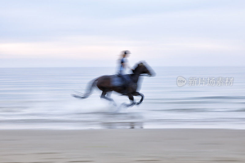 在海滩上骑马