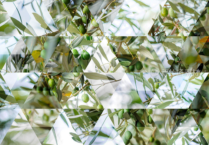 抽象三角形马赛克背景:橄榄树