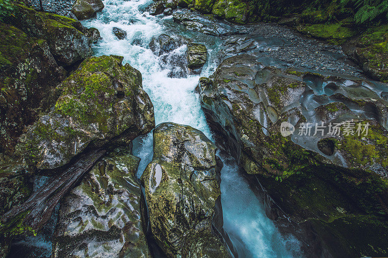 一条流经热带雨林的河流