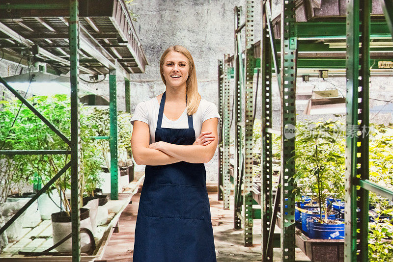 白人女性站在温室的农场，穿着衬衫，拿着大麻植物