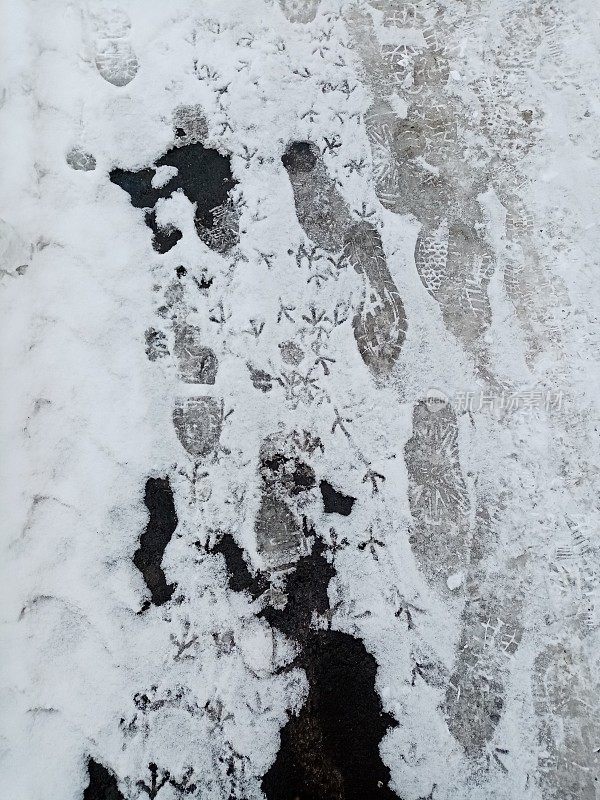 雪道上有鸟和人的痕迹，春天和冬天抽象的背景与复制空间