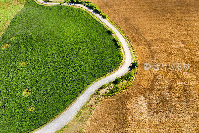 鸟瞰图的乡村道路之间的麦田，托斯卡纳，意大利