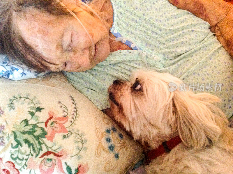 老年病人和她的狗
