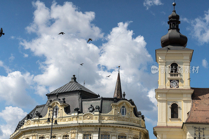 飞翔的鸽子在多云的蓝色天空中飞过西比乌中心的建筑物顶部，罗马尼亚