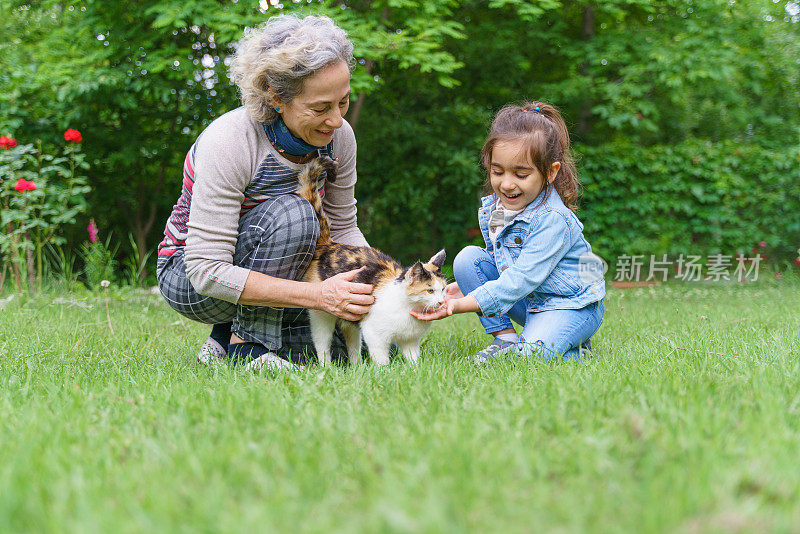 奶奶和孙女在玩猫