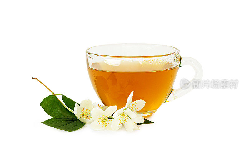 一杯清茶和一枝茉莉花分离在白色上