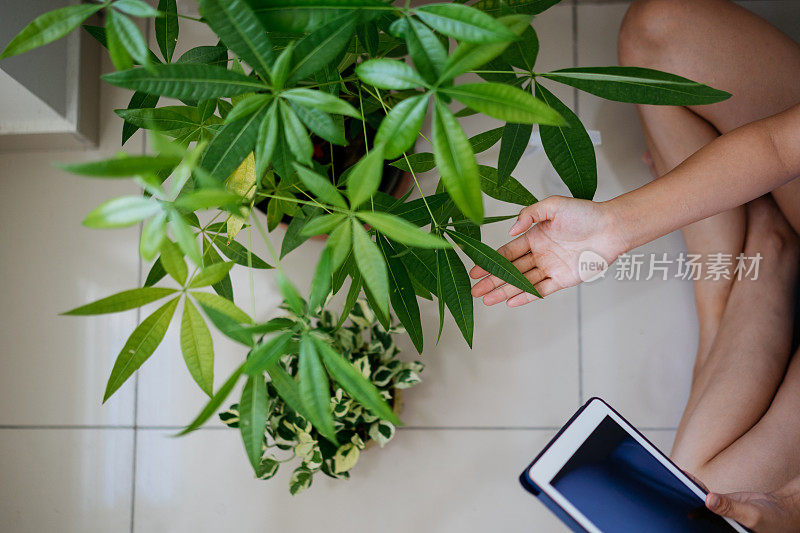 年轻的亚洲女人照顾她的植物遵循指导网上