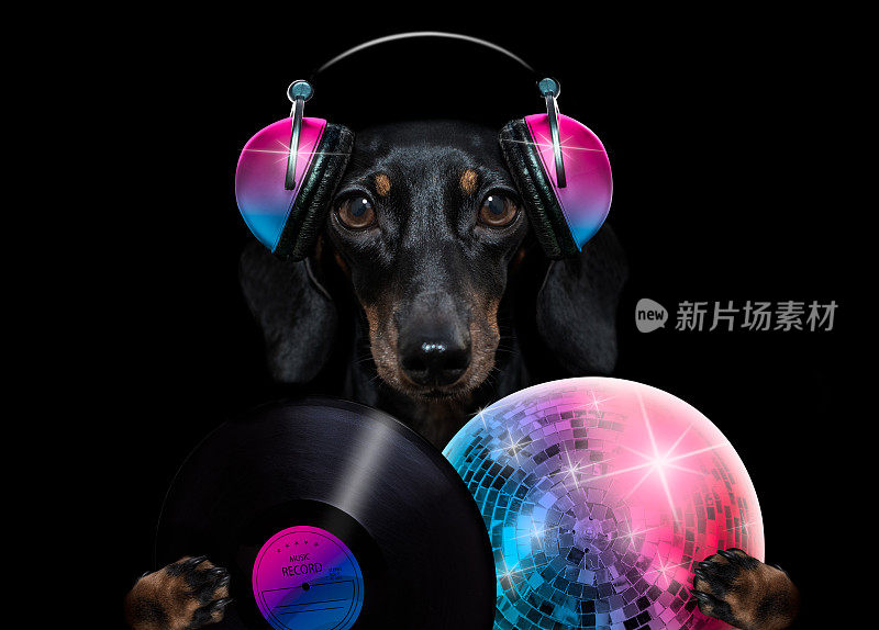 狗听音乐