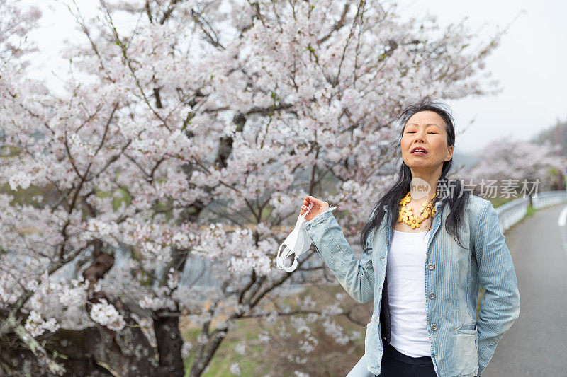 日本女子欣赏樱花