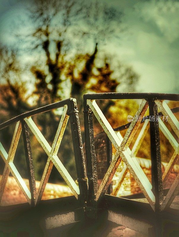 斯特拉特福德运河上的一座桥，用胶片拍摄