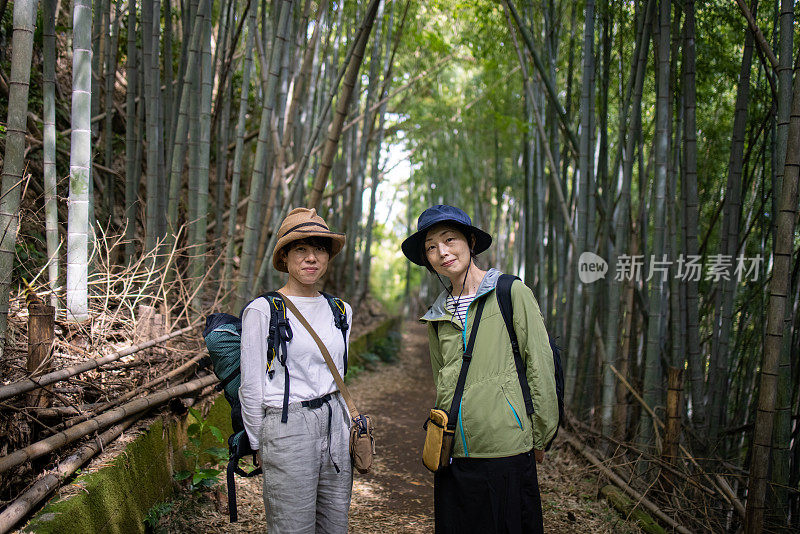 竹林里女性朋友的画像