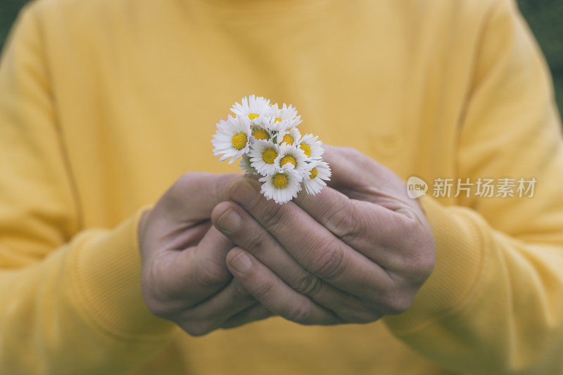 人手上有一小束雏菊