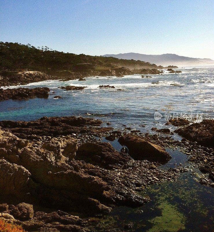 加州北部海岸线