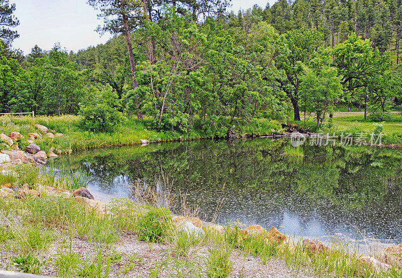有池塘和倒影的卡斯特州立公园