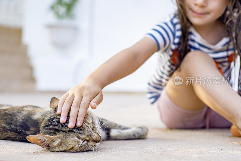 一个陌生的小女孩抚摸着猫