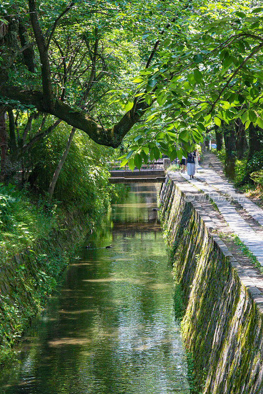 日本京都，夏日绿树环绕的哲学家之路