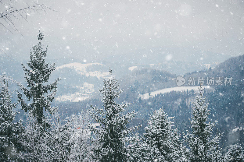 冷雪