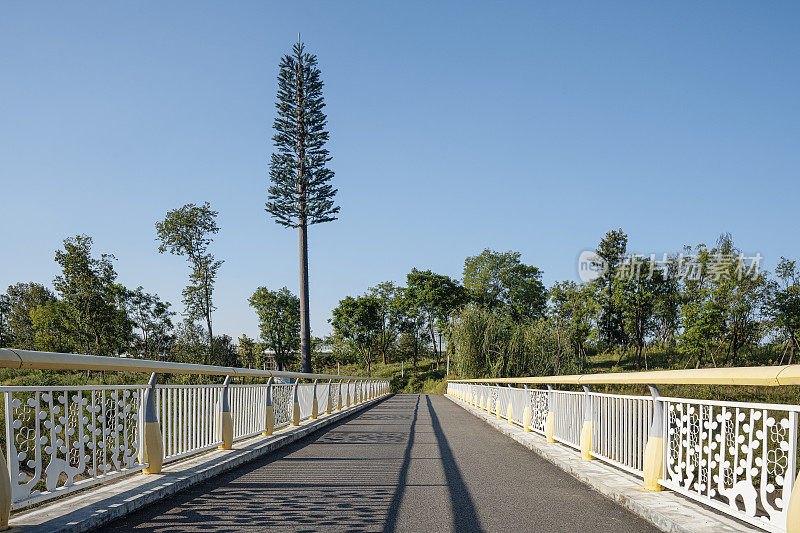 成都城市道路和路灯