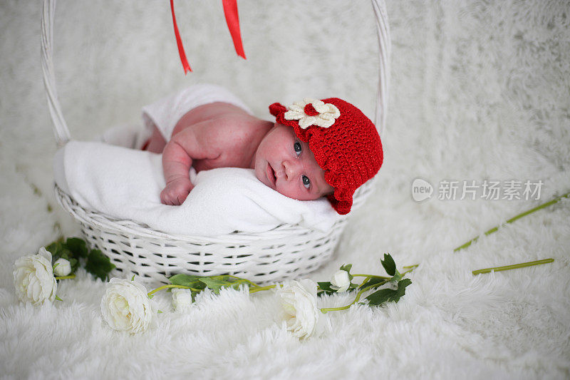 可爱可爱的新出生女婴的肖像照片