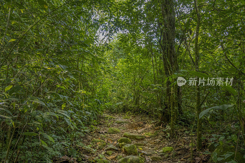 火山米拉瓦勒斯国家公园