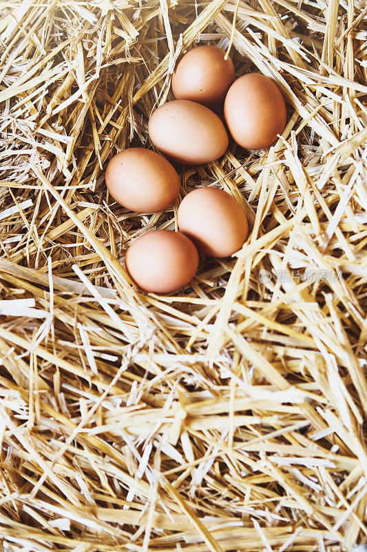 完美的棕色鸡蛋在农场的稻草里