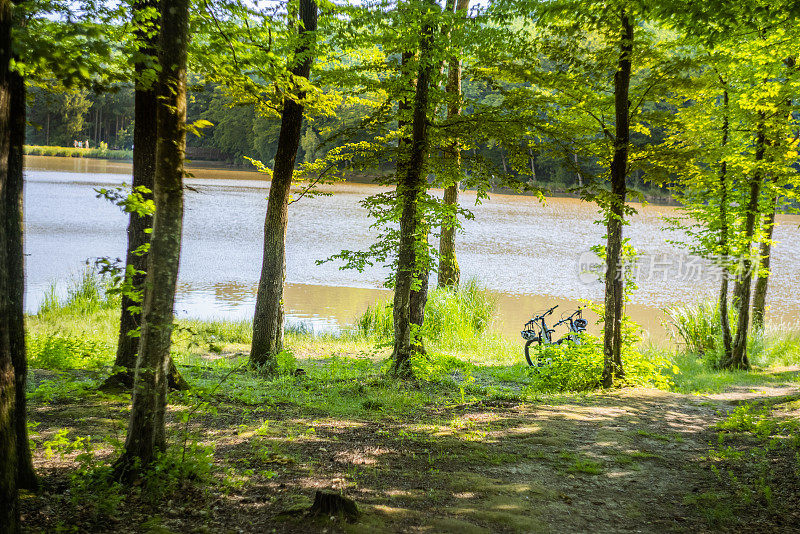 湖附近的森林里有两辆自行车