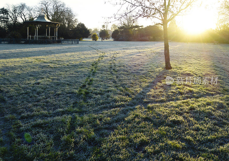 清晨公园里有霜