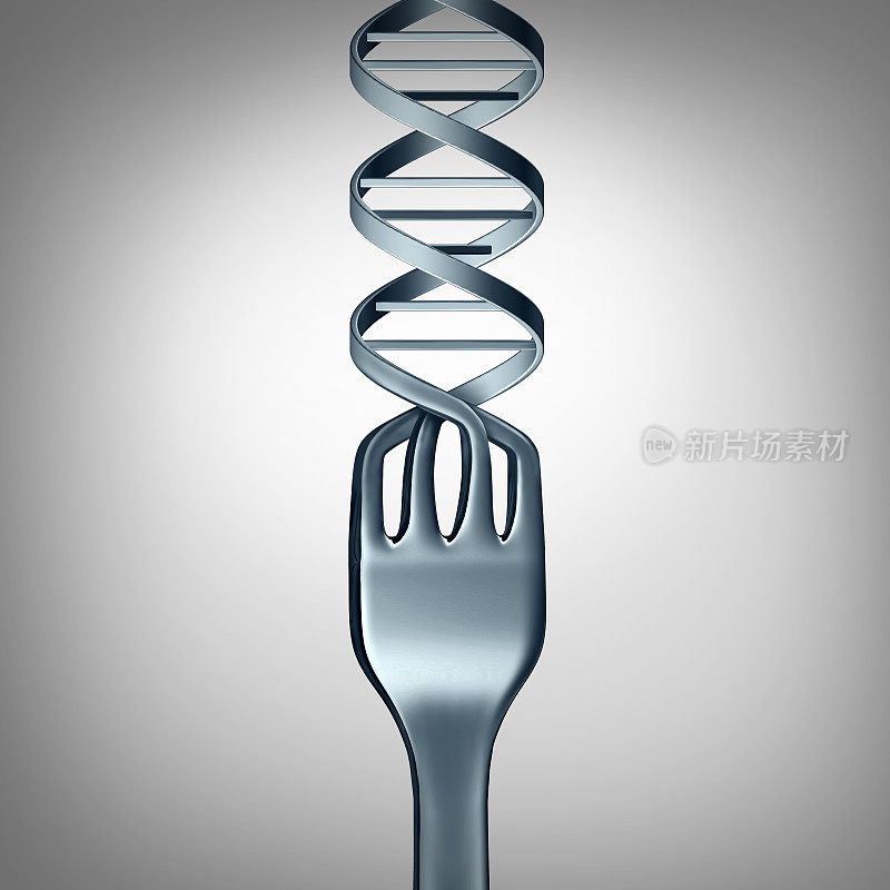 DNA的食物