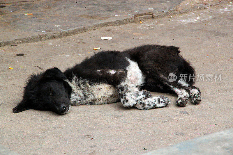 尼泊尔:普里特维公路上的马格林镇