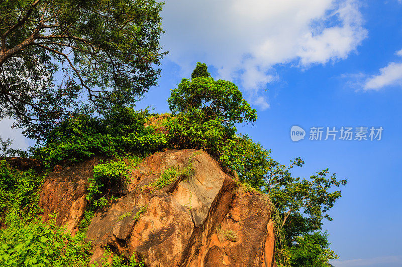 帕拉尼山，泰米尔纳德邦，印度-途中柯达卡纳尔