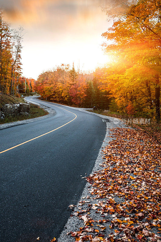 秋季加拿大公园空旷的道路