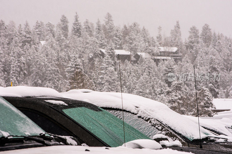 冰雪中的汽车