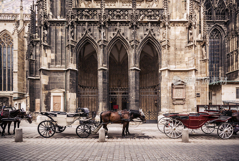 奥地利维也纳圣斯蒂芬大教堂外的马车