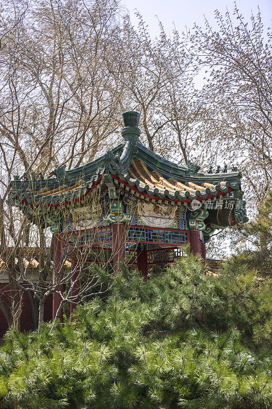 紫禁城附近的北京公园的木制凉亭
